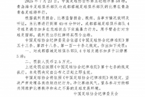 如果成都蓉城晋级足协杯决赛，德尔加多纪律处罚停赛将在决赛执行